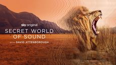 Secret World of Sound with David Attenborough 1.Sezon 3.Bölüm izle